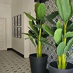 Apartment Casa 