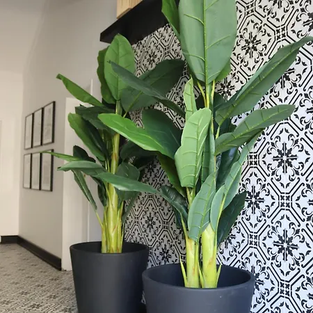 Apartment Casa 